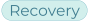 VLS-homepage-pill-Recovery
