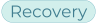 VLS-homepage-pill-Recovery