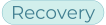 VLS-homepage-pill-Recovery