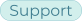 VLS-homepage-pill-Support